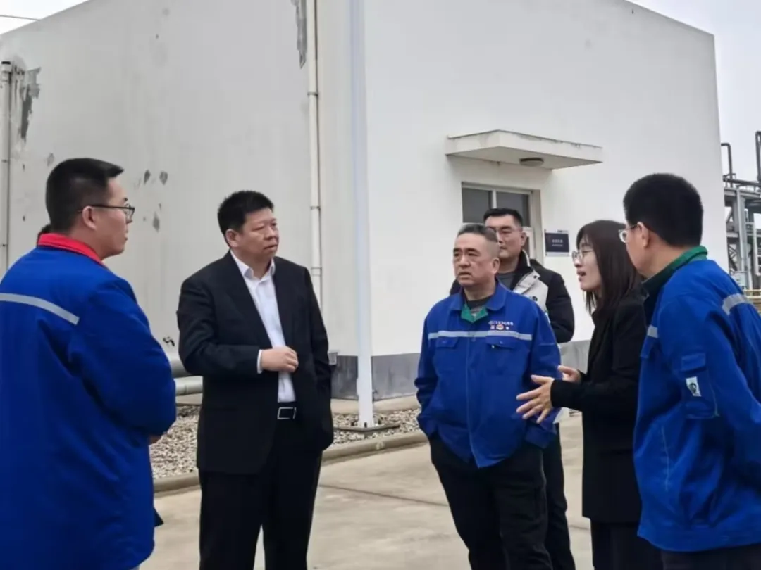 1772244046138570.jpg 1772244046138570.jpg